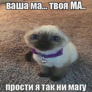Telegram profile photo for Апельсиновая роща| HanaKitsu