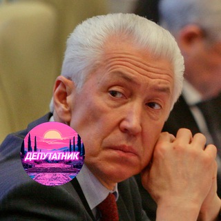 Telegram profile photo for Депутат Владимир Васильев. Цитаты