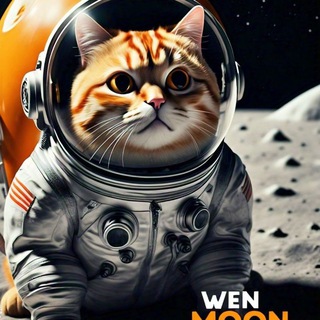 Telegram group profile photo for WENmoon
