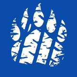 Telegram profile photo for Русский Транзит - авто под заказ