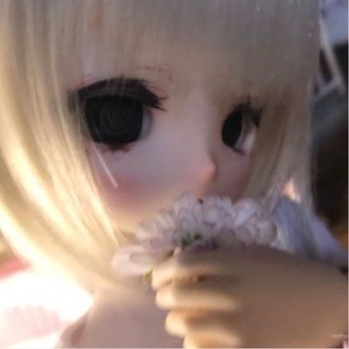 Telegram profile photo for The small window