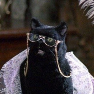 Telegram profile photo for Крысильды читают ВН