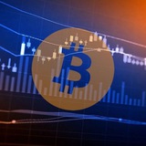 Telegram profile photo for Support Trading | Channel