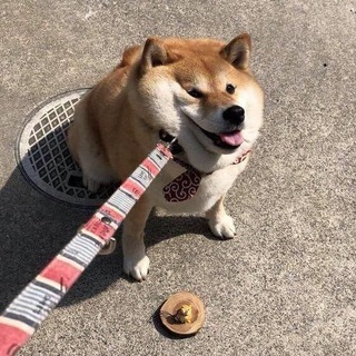 Telegram profile photo for мудсы