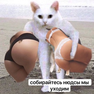 Telegram profile photo for про красивую жизнь