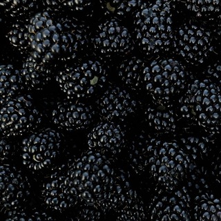 Telegram profile photo for Ежевика confessions!
