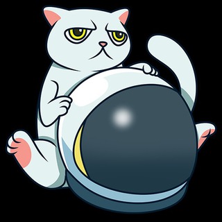 Telegram group profile photo for CAT Token