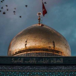 Telegram profile photo for عالَم مَليء بـ آلِ مُحَمَد🌏🫀.