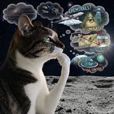 Telegram profile photo for THINKING CAT