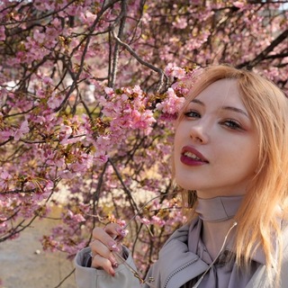 Telegram profile photo for Транжицуко (•͈⌔•͈⑅)