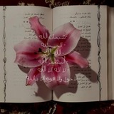 Telegram profile photo for مُهجِة الزهِراءَ