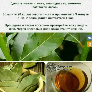 Telegram profile photo for ️ ️ Хитрости ️️