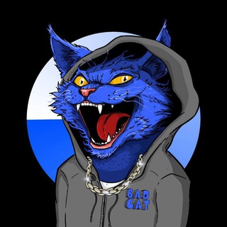 Telegram profile photo for BADCAT on BASE - PORTAL