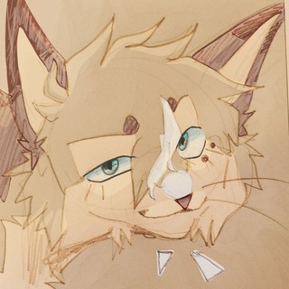 Telegram profile photo for /АРХИВ/ Кошачья балдёжка