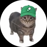 Telegram profile photo for pcatpump