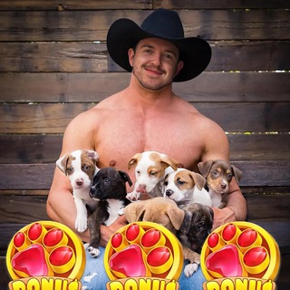 Telegram group profile photo for 💬 ЧАТ Шизика