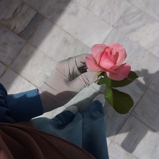Telegram profile photo for «إلى الله راغبون» 🌿