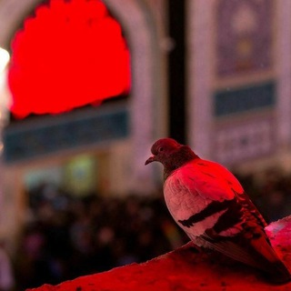 Telegram profile photo for Rəngli_kəlimələrim📝