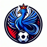 Telegram profile photo for osm Damash