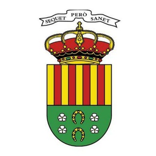 Telegram profile photo for Ayuntamiento de San Vicente del Raspeig