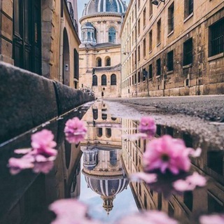 Telegram profile photo for # ِرِيـــ🍃ــاَح هـادِئـة... 🤍