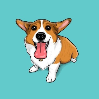 Telegram profile photo for Корги