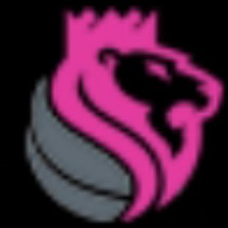 Telegram profile photo for تهران آی پی