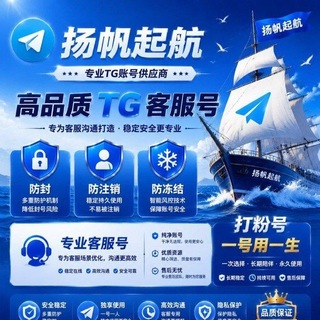 Telegram profile photo for 扬帆起航飞机号