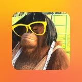 Telegram profile photo for Отзывы | STANDNEWS