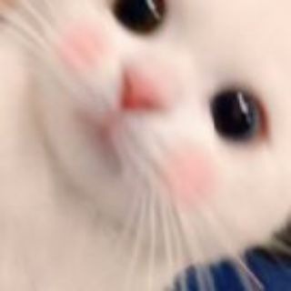 Telegram profile photo for ꒰ ⑅ ᵕ ༚ᵕ꒱ ˖ ♡ pOcket archive's ˚₊·— ͟͞͞♡