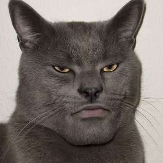 Telegram profile photo for ЧУЛАН
