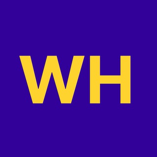 Telegram profile photo for Web Hero Public