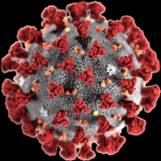 Telegram profile photo for COVID-19 PANDEMIC BREAKING