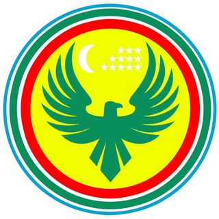 Telegram profile photo for UZBEGIMAVIA.RU✈️