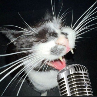 Telegram profile photo for Алиса!включи deftones!