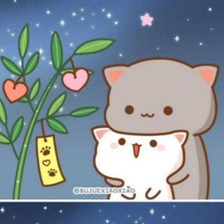 Telegram profile photo for Mochi Peach Cat