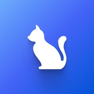 Telegram profile photo for Daily Cat Content