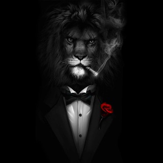 Telegram profile photo for Black Lion Crypto