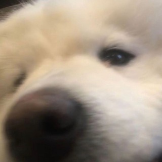Telegram profile photo for плиs