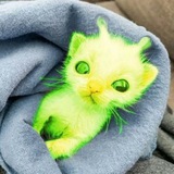 Telegram profile photo for карамельное пузо