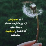 Telegram profile photo for 🧘♂️معجزه خدا🧘♂️