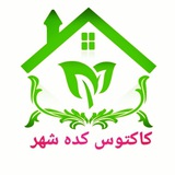 Telegram profile photo for کاکتوسکده شهر