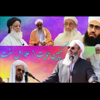 Telegram profile photo for کمپین حمایت از علمای اهل سنت