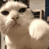 Telegram profile photo for кекч умер