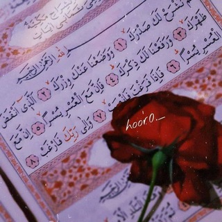 Telegram profile photo for رحلة عشق 🫂🫀📚