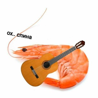 Telegram profile photo for Пингвутка с гитарой (Уже не креветка)