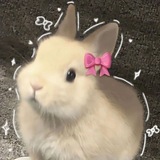 Telegram profile photo for ๐ archive ๐๐๐๐๐๐๐ ๐๐๐๐
