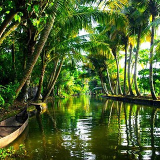 Telegram profile photo for Kerela’s tourist destination