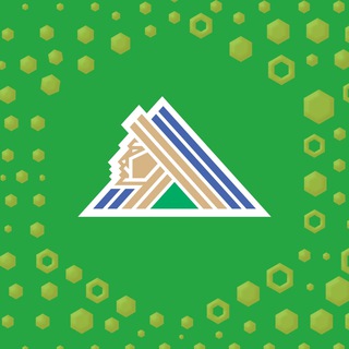 Telegram profile photo for Вперёд, наш «Салават Юлаев»!