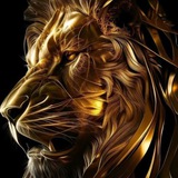 Telegram profile photo for Lion proxi
